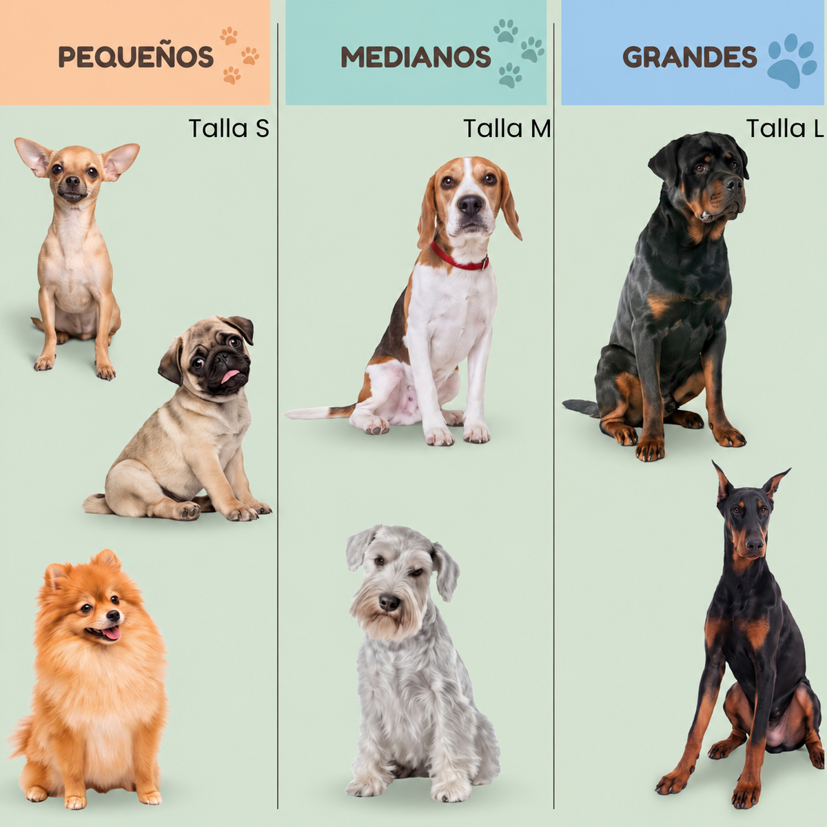 NUBIPET Tapete Higiénico para Mascotas